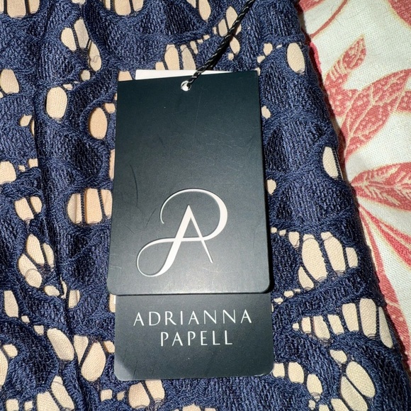 Adrianna Papell Navy and cream Lace Midi Dress - Picture 6 of 9